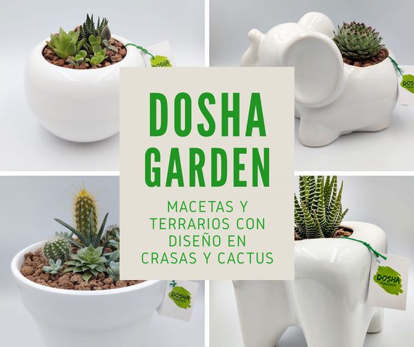 120080208_126210689217888_4768695429825331180_o